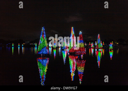 Mer d'arbres de Noël spectacle à SeaWorld inclut plus de 100 arbres avec l'éclairage de couleur synchronisés à la musique Banque D'Images