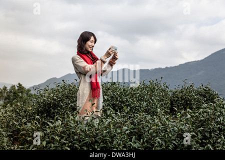 Young woman taking photo sur la plantation de thé, Taipei, Taiwan Banque D'Images