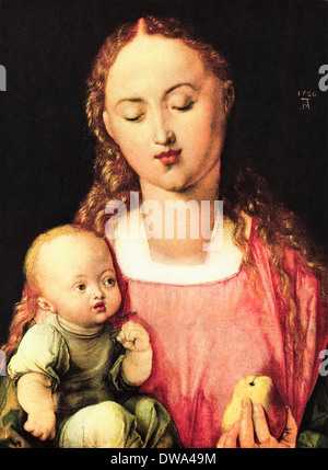 La Vierge avec la poire huile sur bois par Albrecht Durer circa 1526 - 1528 L'artiste allemand 1471 Banque D'Images