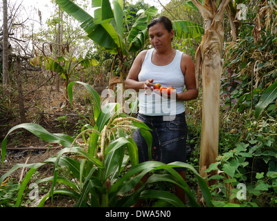 EL SALVADOR, Jujutla. Les pauvres agriculteurs. Banque D'Images