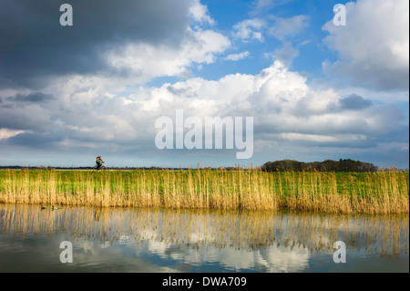 Les cycles d'un homme le long de la berge de la rivière de la coque sur un bel après-midi d'hiver, le 03 mars, 2014 près de Beverley, Yorkshire, UK. Banque D'Images