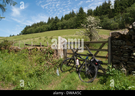 Location reposant contre un field gate sur une route, près d'Exmouth dans le Lake District Banque D'Images