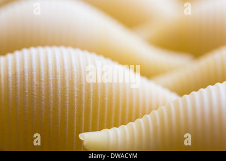 Sec nervuré avec ligne seriated macaroni jaune Banque D'Images