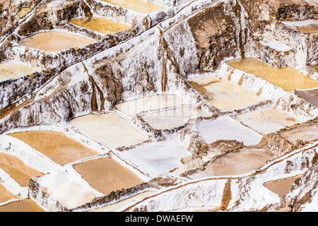 Pérou, Salinas de Maras, pré inca mine de sel traditionnels (salinas). Banque D'Images