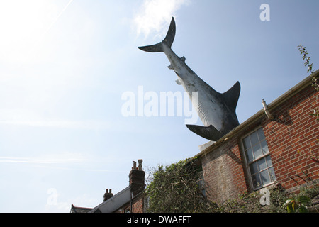 Un requin s'est écrasé sur son toit en Oxford Headington. Banque D'Images