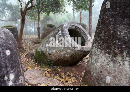 Grand pot mégalithique cerclée distinctif au site 2 de la Plaine des Jarres au Laos Banque D'Images