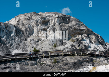 Les randonneurs le long de la promenade près de printemps La Palette à Mammoth Hot Springs, Parc National de Yellowstone, Wyoming. Banque D'Images