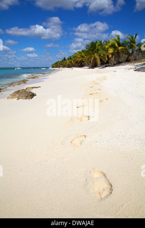 Plage exotique, mer des Caraïbes Banque D'Images