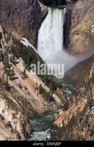 Lower Falls le long du Grand Canyon de la Yellowstone River, vue de Artist Point dans le Parc National de Yellowstone, Wyoming. Banque D'Images