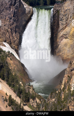 Lower Falls le long du Grand Canyon de la Yellowstone River, vue de Artist Point dans le Parc National de Yellowstone, Wyoming. Banque D'Images