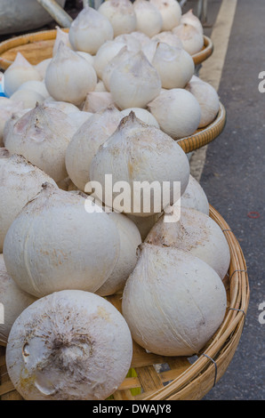 Les jeunes cocotiers pelées vendre au marché de produits frais en Thaïlande Banque D'Images