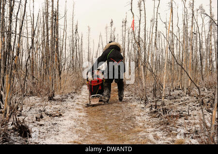 Anchoarge, AK, États-Unis d'Amérique. 4e Mar, 2014. BOB HALLINEN / Anchorage Daily News.Anna Berington mushes vers le bas l'Iditarod Trail au milieu de l'Adieu brûler pendant le 2014 Iditarod Trail Sled Dog Race, le mardi, le 4 mars 2014. Credit : Bob Hallinen/Anchorage Daily News/ZUMAPRESS.com/Alamy Live News Banque D'Images