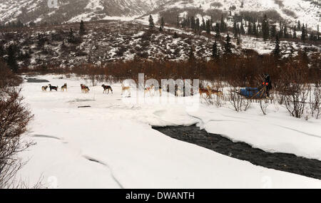 Anchoarge, AK, États-Unis d'Amérique. 4e Mar, 2014. BOB HALLINEN / Anchorage Daily News.Un musher repose leur équipe à côté de l'Iditarod trail au milieu de la gorge avec près de Dalzell en eau libre au cours de l'Iditarod Trail Sled Dog Race, le mardi, le 4 mars 2014. Credit : Bob Hallinen/Anchorage Daily News/ZUMAPRESS.com/Alamy Live News Banque D'Images