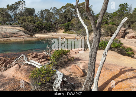 Honeymoon Bay, parc national de Freycinet, Tasmanie, Australie Banque D'Images