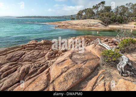 Honeymoon Bay, parc national de Freycinet, Tasmanie, Australie Banque D'Images