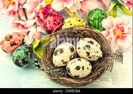 Décoration de Pâques avec des fleurs et des œufs dans le nid. Le printemps. Retro style conçu photo Banque D'Images