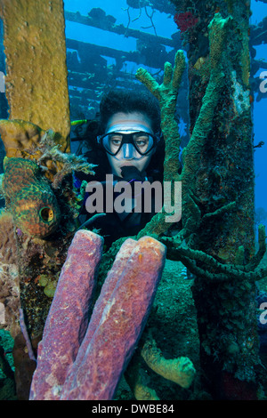 Diver sur épave. Banque D'Images