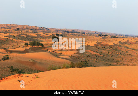 Rub Al Khali ancien Wüste - Ras Al Khaima Banque D'Images