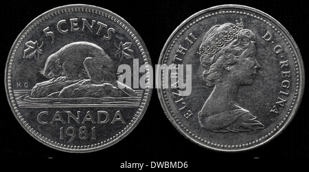 5 cents pièce, Canada, 1981 Banque D'Images