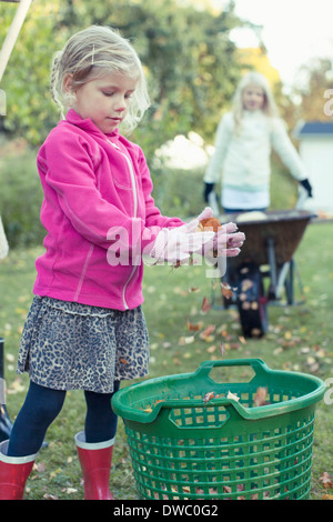 La collecte de feuilles d'automne fille dans panier at yard Banque D'Images