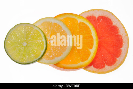 Tranches d'agrumes, citron, orange, citron vert, pamplemousse rose Banque D'Images