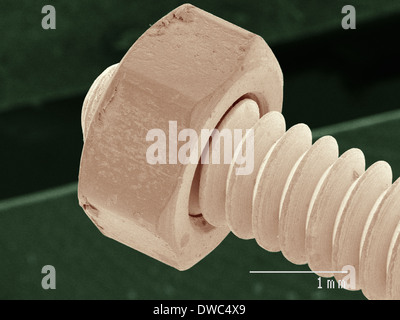 Coloured SEM d'écrous et de boulons Banque D'Images