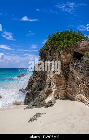 Astwood Cove beach, Warwick, Bermudes Banque D'Images