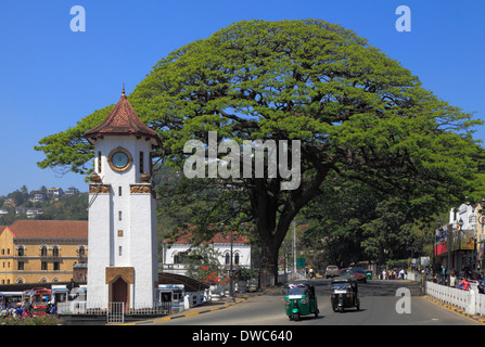 Sri Lanka, Kandy ; tour de l'horloge, arbre géant, tuk-tuks, Banque D'Images
