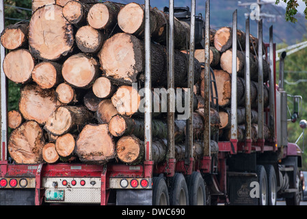 Le transport par camion de bois brut récolté dans le Vermont, USA Banque D'Images