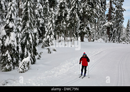 WASHINGTON - Le skieur sur les pistes de ski de fond près de col venteux dans la Snoqualmie Pass Nordic Ski Area. Banque D'Images