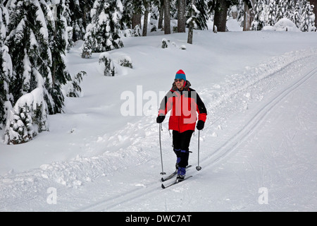 WASHINGTON - Le skieur sur les pistes de ski de fond près de col venteux dans la Snoqualmie Pass Nordic Ski Area. Banque D'Images