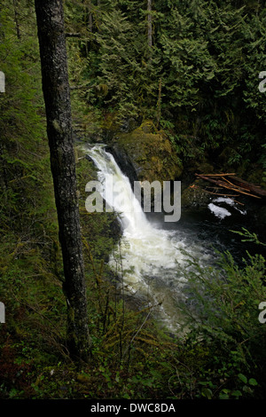 WASHINGTON - Wallace Falls de Wallace Falls State Park près de Gold Bar. Banque D'Images