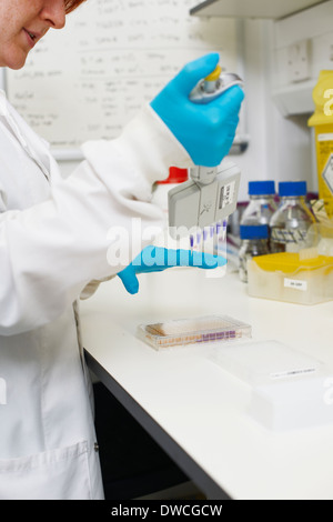 Female scientist en utilisant une pipette multi Banque D'Images