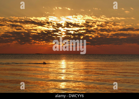 Nager dans l'océan au coucher du soleil, l'île de Koh Chang, Thaïlande. Banque D'Images