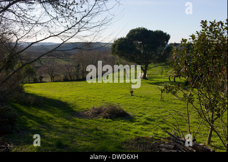 Soleil de l'après-midi sur les champs autour de la magnifique hameau de St Martial, Varen, Tarn et Garonne, l'Occitanie, la France au début du printemps Banque D'Images