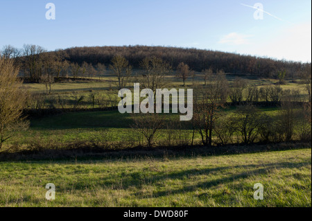 Soleil de l'après-midi sur les champs autour de la magnifique hameau de St Martial, Varen, Tarn et Garonne, l'Occitanie, en France, au début du printemps Banque D'Images