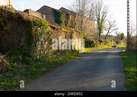 St Martial, Varen, Tarn et Garonne, Midi-Pyrénées, France Banque D'Images