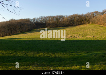 Colline au-dessus de St Martial, Varen, Tarn et Garonne, Occitanie, France Banque D'Images