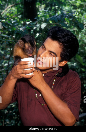 1, l'un, brésilien, homme, singe capucin, macaco prego, singe, ariau jungle lodge,, à l'ouest de Manaus, l'Amazone, l'état d'Amazonas, Brésil, Amérique du Sud Banque D'Images