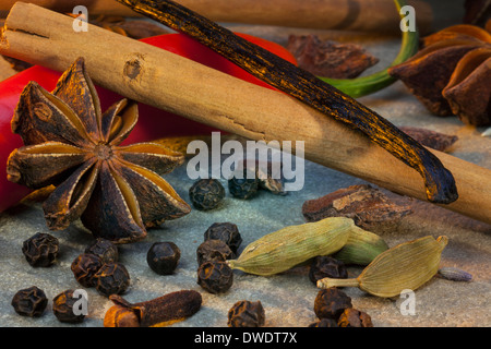 Close-up d'une sélection d'herbes et épices utilisées dans la cuisine Banque D'Images