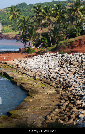 La sortie de plage d'Anjuna panorama à marée basse avec du sable mouillé blanc et vert des cocotiers, Goa, Inde Banque D'Images