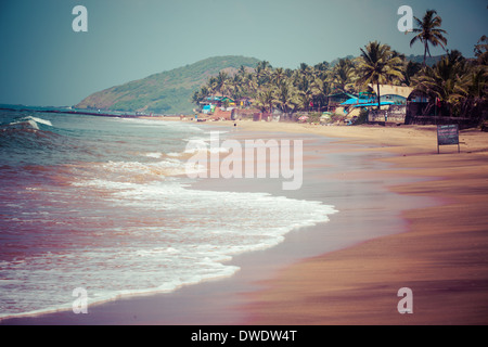 La sortie de plage d'Anjuna panorama à marée basse avec du sable mouillé blanc et vert des cocotiers, Goa, Inde Banque D'Images