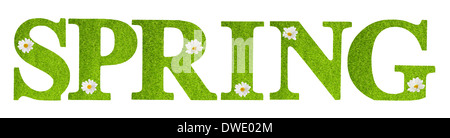 Lettres du printemps dans l'herbe couverte texture avec marguerites sur fond blanc Banque D'Images