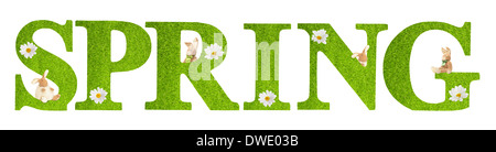 Lettres printemps couvert de texture d'herbe avec marguerites et les petits lapins Banque D'Images