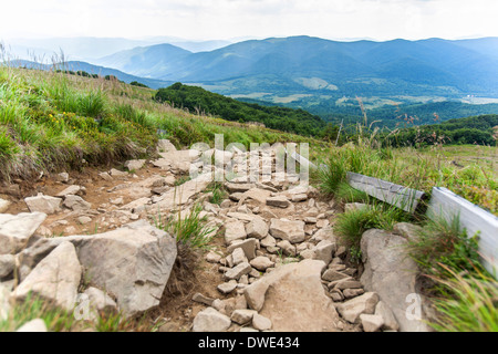 Bieszczady, Pologne Vue de sentier Tarnica Banque D'Images
