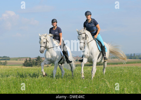 Deux coureurs sur le dos de poneys Connemara galoper dans un pré Banque D'Images