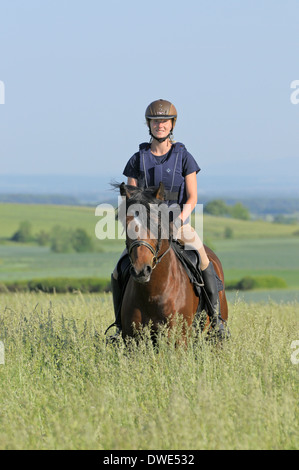 Rider portant un casque protecteur et un corps à cheval dans un pré à l'arrière d'un étalon Connemara Pony Banque D'Images