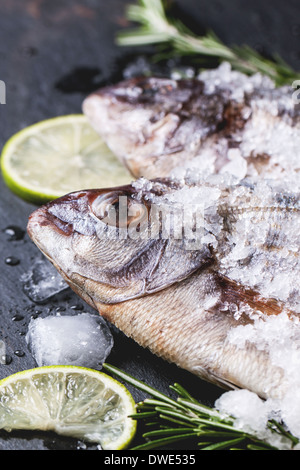 Close up de poissons crus dorade au romarin et citron vert sous la glace sur fond noir en noir. Voir la série Banque D'Images