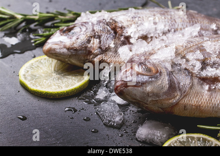 Close up de poissons crus dorade au romarin et citron vert sous la glace sur fond noir en noir. Voir la série Banque D'Images