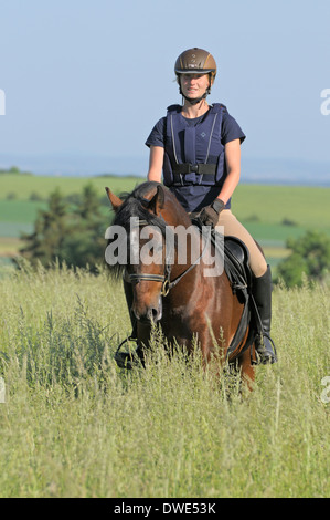 Rider portant un casque protecteur et un corps à cheval dans un pré à l'arrière d'un étalon Connemara Pony Banque D'Images